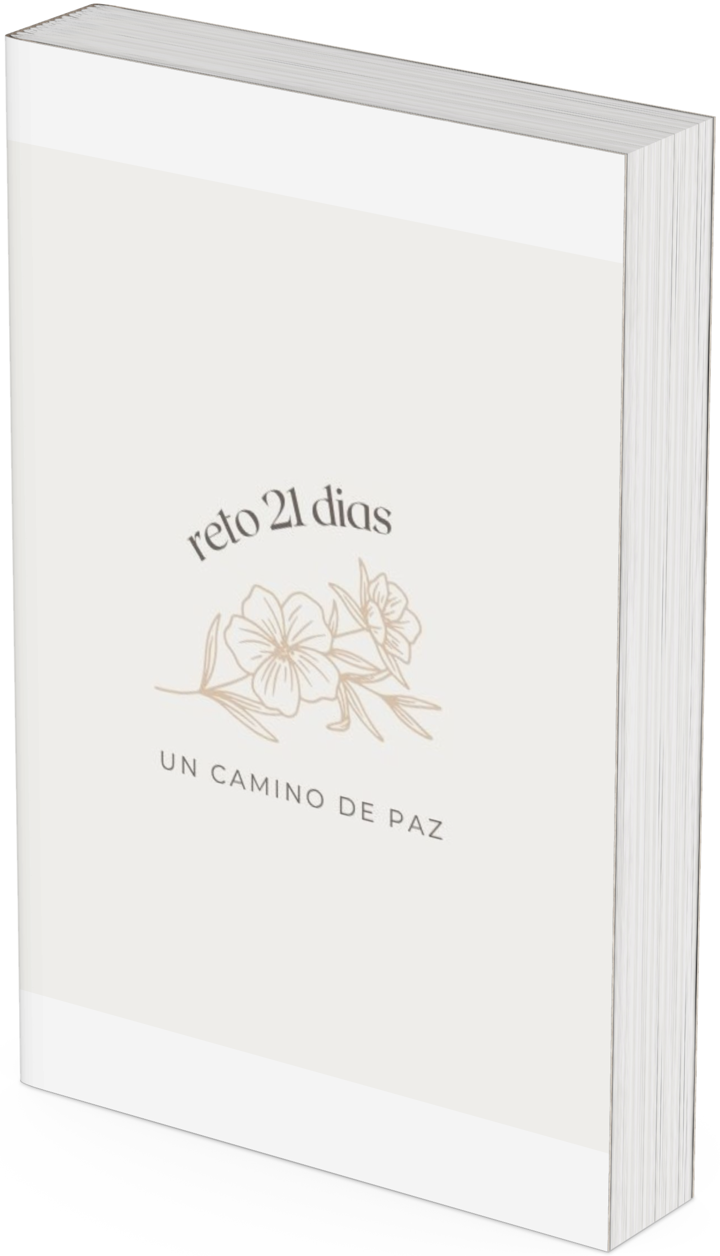 21 días para reencontrar la Paz Interior